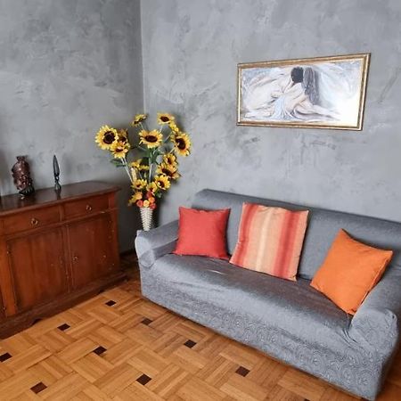Al Salice Tranquillita Nel Verde Via Amendola 24 Apartment Бусто Арсицио Екстериор снимка