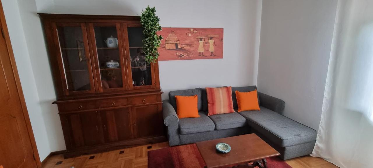 Al Salice Tranquillita Nel Verde Via Amendola 24 Apartment Бусто Арсицио Екстериор снимка